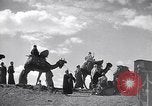 Image North African peuple nomade en Afrique du Nord, 1930, de la seconde 62 séquences d'archives historiques vidéo 65675027571