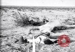Image of Mexican federal soldiers in battle against Constituionalist forces Mexico, 1915, second 34 stock footage video 65675027580