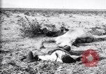 Image of Mexican federal soldiers in battle against Constituionalist forces Mexico, 1915, second 35 stock footage video 65675027580