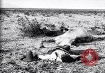 Image of Mexican federal soldiers in battle against Constituionalist forces Mexico, 1915, second 36 stock footage video 65675027580
