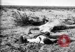 Image of Mexican federal soldiers in battle against Constituionalist forces Mexico, 1915, second 37 stock footage video 65675027580