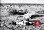 Image of Mexican federal soldiers in battle against Constituionalist forces Mexico, 1915, second 38 stock footage video 65675027580
