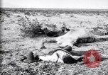 Image of Mexican federal soldiers in battle against Constituionalist forces Mexico, 1915, second 39 stock footage video 65675027580