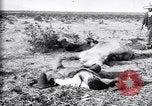 Image of Mexican federal soldiers in battle against Constituionalist forces Mexico, 1915, second 40 stock footage video 65675027580