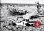 Image of Mexican federal soldiers in battle against Constituionalist forces Mexico, 1915, second 41 stock footage video 65675027580