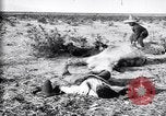 Image of Mexican federal soldiers in battle against Constituionalist forces Mexico, 1915, second 42 stock footage video 65675027580