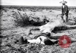 Image of Mexican federal soldiers in battle against Constituionalist forces Mexico, 1915, second 43 stock footage video 65675027580