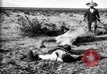Image of Mexican federal soldiers in battle against Constituionalist forces Mexico, 1915, second 44 stock footage video 65675027580