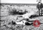 Image of Mexican federal soldiers in battle against Constituionalist forces Mexico, 1915, second 45 stock footage video 65675027580