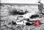Image of Mexican federal soldiers in battle against Constituionalist forces Mexico, 1915, second 46 stock footage video 65675027580