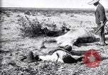 Image of Mexican federal soldiers in battle against Constituionalist forces Mexico, 1915, second 47 stock footage video 65675027580