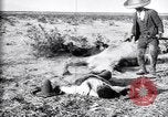 Image of Mexican federal soldiers in battle against Constituionalist forces Mexico, 1915, second 49 stock footage video 65675027580