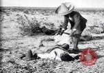Image of Mexican federal soldiers in battle against Constituionalist forces Mexico, 1915, second 52 stock footage video 65675027580