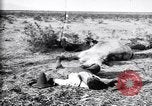 Image of Mexican federal soldiers in battle against Constituionalist forces Mexico, 1915, second 57 stock footage video 65675027580