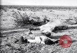 Image of Mexican federal soldiers in battle against Constituionalist forces Mexico, 1915, second 60 stock footage video 65675027580