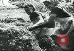 Standbild Deutsche Zivilangestellte im Zweiten Weltkrieg Deutschland, 1940, aus Sekunde 14 historischem Filmmaterial Videoclip 65675027585