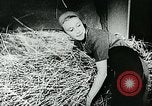 Standbild Deutsche Zivilangestellte im Zweiten Weltkrieg Deutschland, 1940, aus Sekunde 24 historischem Filmmaterial Videoclip 65675027585