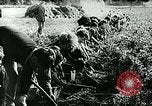 Standbild Deutsche Zivilangestellte im Zweiten Weltkrieg Deutschland, 1940, aus Sekunde 34 historischem Filmmaterial Videoclip 65675027585