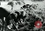 Standbild Deutsche Zivilangestellte im Zweiten Weltkrieg Deutschland, 1940, aus Sekunde 35 historischem Filmmaterial Videoclip 65675027585