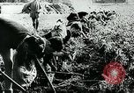 Standbild Deutsche Zivilangestellte im Zweiten Weltkrieg Deutschland, 1940, aus Sekunde 36 historischem Filmmaterial Videoclip 65675027585