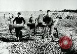 Standbild Deutsche Zivilangestellte im Zweiten Weltkrieg Deutschland, 1940, aus Sekunde 38 historischem Filmmaterial Videoclip 65675027585