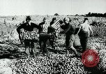 Standbild Deutsche Zivilangestellte im Zweiten Weltkrieg Deutschland, 1940, aus Sekunde 39 historischem Filmmaterial Videoclip 65675027585