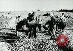 Standbild Deutsche Zivilangestellte im Zweiten Weltkrieg Deutschland, 1940, aus Sekunde 40 historischem Filmmaterial Videoclip 65675027585