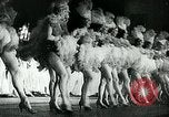 Image of Performing arts in Germany during World War 2 Germany, 1940, second 29 stock footage video 65675027587