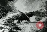 Image of Nazi German munitions factory World War 2 Germany, 1940, second 19 stock footage video 65675027588