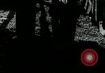 Image of Farm machinery and transportation vehicles Germany, 1936, second 7 stock footage video 65675027595