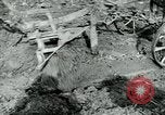 Image of Farm machinery and transportation vehicles Germany, 1936, second 14 stock footage video 65675027595