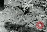 Image of Farm machinery and transportation vehicles Germany, 1936, second 15 stock footage video 65675027595