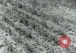 Image of Farm machinery and transportation vehicles Germany, 1936, second 25 stock footage video 65675027595