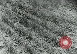Image of Farm machinery and transportation vehicles Germany, 1936, second 26 stock footage video 65675027595