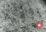 Image of Farm machinery and transportation vehicles Germany, 1936, second 27 stock footage video 65675027595