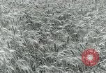 Image of Farm machinery and transportation vehicles Germany, 1936, second 31 stock footage video 65675027595