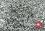 Image of Farm machinery and transportation vehicles Germany, 1936, second 32 stock footage video 65675027595