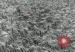 Image of Farm machinery and transportation vehicles Germany, 1936, second 33 stock footage video 65675027595