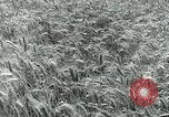 Image of Farm machinery and transportation vehicles Germany, 1936, second 34 stock footage video 65675027595