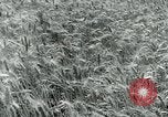 Image of Farm machinery and transportation vehicles Germany, 1936, second 35 stock footage video 65675027595