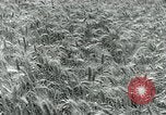 Image of Farm machinery and transportation vehicles Germany, 1936, second 36 stock footage video 65675027595