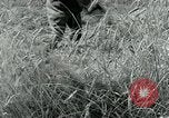 Image of Farm machinery and transportation vehicles Germany, 1936, second 37 stock footage video 65675027595