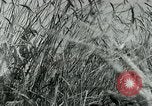 Image of Farm machinery and transportation vehicles Germany, 1936, second 38 stock footage video 65675027595