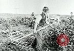 Image of Farm machinery and transportation vehicles Germany, 1936, second 41 stock footage video 65675027595