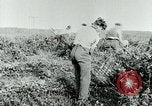 Image of Farm machinery and transportation vehicles Germany, 1936, second 42 stock footage video 65675027595
