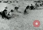 Image of Farm machinery and transportation vehicles Germany, 1936, second 43 stock footage video 65675027595