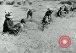 Image of Farm machinery and transportation vehicles Germany, 1936, second 45 stock footage video 65675027595