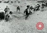 Image of Farm machinery and transportation vehicles Germany, 1936, second 46 stock footage video 65675027595