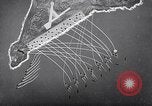 Image of US Navy bombarding Japanese fortifications on Iwo Jima Iwo Jima, 1945, second 50 stock footage video 65675027604