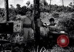 Immagine di Soldati United States USA, 1943, secondo 27 filmato di repertorio 65675027609